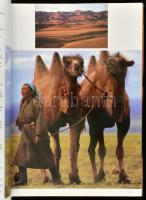 Marco Ferrari: Sivatagok. Ford.: Bedő Csaba. Pécs, 1996, Alexandra. Rendkívül gazdag képanyaggal ill...