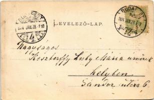 1904 Budapest IX. Elevátor, uszályok, gyárak, Duna. Ganz Antal 149. (Rb)