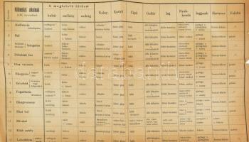 cca 1900-1920 Öltözködés táblázata, különböző alkalmakra, a kor divatjának megfelelő ruhadarabokkal,...