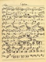 cca 1909-1911-1940? Adler Marianne izraelita származású zongoratanárnő, Szendy Árpád (1863-1922) zon...