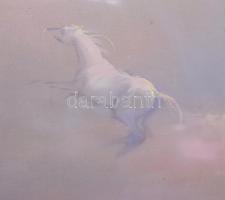 Deák B. Ferenc (1938-2004): Álom paripával (szürrealista kép). Olaj, vászon, jelzett. Dekoratív fa k...