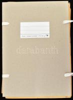 cca 1950 MÁV dokumentumok: 2 db vonalhálózati térkép, vegyes táblázatok, műszaki leírások. Vegyes mé...