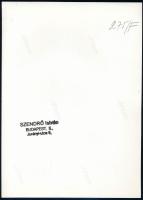 cca 1930-1940 Szendrő István (1908-2000): Betakarítás, parasztok lovas szekéren, pecséttel jelzett f...