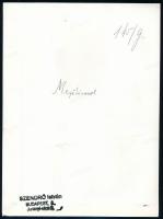 cca 1930-1940 Szendrő István (1908-2000): Mezőkövesd, esküvő palóc népviseletben, pecséttel jelzett ...