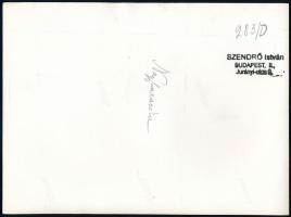 cca 1930-1940 Szendrő István (1908-2000): Lányok nagybaracskai népviseletben, pecséttel jelzett fotó...