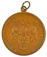 DN "II. Rákóczi Ferenc Felsőkereskedelmi" bronz iskolai sport díjérem füllel, függesztőkar...
