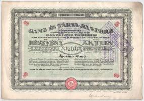 Budapest 1923. "Ganz és Társa- Danubius Gép-, Waggon- és Hajó-Gyár Részvénytársaság" 5 részvénye 20.000K-ról, magyar és német nyelven, szárazpecséttel, bélyegzésekkel és szelvényekkel (3x) T:XF-F