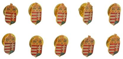 DN 10db koronás, magyar címeres, műgyantás fém jelvény (18x9mm) T:UNC