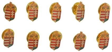 DN 10db koronás, magyar címeres, műgyantás fém jelvény (18x9mm) T:UNC