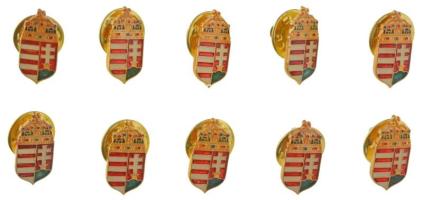 DN 10db koronás, magyar címeres, műgyantás fém jelvény (18x9mm) T:UNC