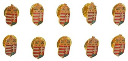 DN 10db koronás, magyar címeres, műgyantás fém jelvény (18x9mm) T:UNC