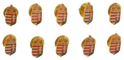 DN 10db koronás, magyar címeres, műgyantás fém jelvény (18x9mm) T:UNC