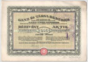 1923. Budapest "Ganz és Társa- Danubius Gép-, Waggon- és Hajó-Gyár Részvénytársaság" részvénye 20.000K-ról, magyar és német nyelven, szárazpecséttel, bélyegzésekkel és szelvényekkel (3x) T:XF-F