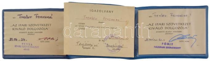 1982-1987. "Az Ipari Szövetkezet Kiváló Dolgozója" aranyozott, részben festett kitüntető j...