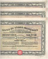 1923 Budapest "Ganz és Társa- Danubius Gép-, Waggon- és Hajó-Gyár Részvénytársaság" részvénye 20.000K-ról, magyar és német nyelven, szárazpecséttel, bélyegzésekkel és szelvényekkel (3x, sorszámkövető és közeli sorszám) T:XF