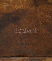 Varga D. József (1917-1976): Cigánygyerek hegedűvel. Olaj, karton, keretben, jelzett, 36x24 cm