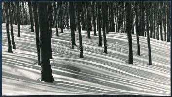 cca 1975 Kriss Géza (?-?) budapesti fotóművész aláírt vintage fotóművészeti alkotása (Téli táj), ezüst zselatinos fotópapíron, 13,5x24,1 cm