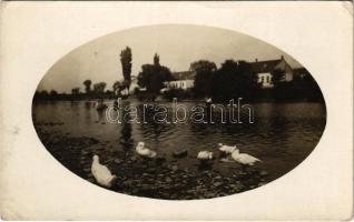 1923 Ungvár, Uzshorod, Uzhhorod, Uzhorod; folyópart libákkal / riverside with geese. photo (EK)