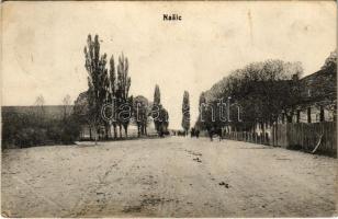 1916 Nekcse, Nasice; út / street (EB)