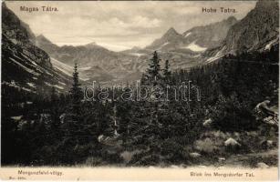 Tátra, Magas-Tátra, Vysoké Tatry; Menguszfalvi-völgy. Franz Pietschmann No. 1860. 1905. / Menusdorfer-Tal / valley (fa)