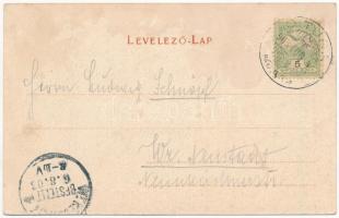 1903 Vágújhely, Neustadt an der Waag, Nové Mesto nad Váhom; Vásár, Takarékpénztár. Brück Ignác kiadá...