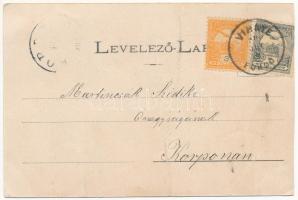 1900 Vihnye, Vihnyefürdő, Kúpele Vyhne; villa (vágott / cut)