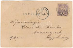 1900 Nyitrakoros, Koros, Krusovce (Nagytapolcsány, Topolcany); kastély, kapu és feljárat, park, lova...