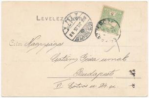 1906 Vágbeszterce, Povazská Bystrica; + "BÉCS-BUDAPEST 117" vasúti mozgóposta