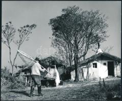 cca 1972 Vincze János (1922-1999) kecskeméti fotóművész hagyatékából, 2 db pecséttel jelzett, vintag...
