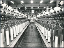 cca 1975 Vincze János (1922-1999) kecskeméti fotóművész hagyatékából, feliratozott vintage fotóművészeti alkotás (Gyapjúfonó), ezüst zselatinos fotópapíron, + hozzáadva 1 db jelzés nélküli portrét amelyen Vincze János látható fényképezés közben, 18,2x24 cm és 12x9 cm