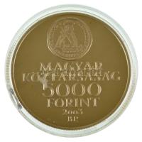 2003. 5000Ft Ag "Rákóczi szabadságharc 300. évfordulója" T:PP 
Adamo EM186