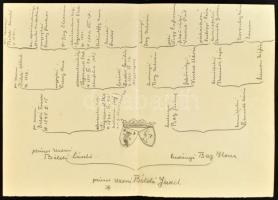 Vegyes családtörténeti dokumentumok: XIX. századi iratok későbbi átiratai, leszármazási táblák / csa...