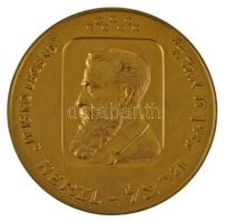 Izrael 1973. "Herzl Tivadar 1948-1973" aranyozott bronz emlékérem nem eredeti tokban (60mm) T:XF Israel 1973. "Theodor Herzl 1948.1973" gilt bronze commemorative medallion in not original case (60mm) C:XF