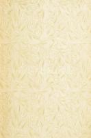 Festetics Rudolf (1865-1943): Emberevők között. Nyolcévi Csendes-óceáni hajózás a "Tolna" ...