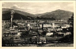 Bruck an der Mur (Steiermark), Mürztaler Papierfabrik / paper mill, factory (EK)