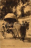 Roma, Rome; Carrettiere a vino / Italian folklore, wine cart (EK)