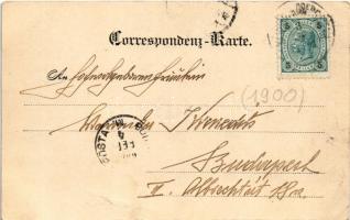 1900 Freistadt, Stadt, Platz, Böhmertor, Linzertor, Altes Postthürl, Böhmergasse, Alter Friedhof mit...