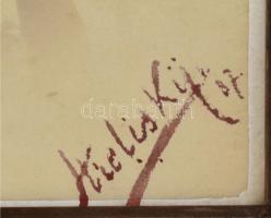 cca 1897 Hubay Jenő (1858-1937) hegedűművész, zeneszerző által később dedikált fotó melyen Hubay-Pop...