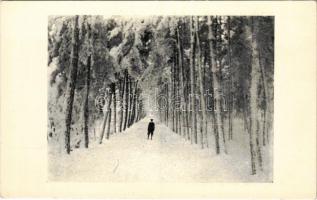 Nagyenyed, Aiud; Sétatéri részlet. A nagyenyedi véndiákok kiadása / promenade