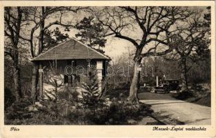 1938 Pécs, Mecsek-Lapisi vadászház és automobil