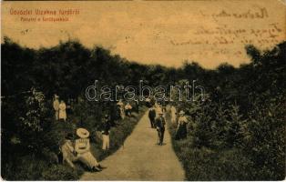 1908 Vízaknafürdő, Ocna Sibiului, Bad Salzburg; Részlet a fürdőparkból. Budovszky L. 1003. (W.L. ?) / spa park with guests (ázott sarok / wet corner)