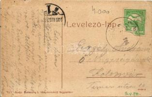 1908 Vízaknafürdő, Ocna Sibiului, Bad Salzburg; Részlet a fürdőparkból. Budovszky L. 1003. (W.L. ?) ...