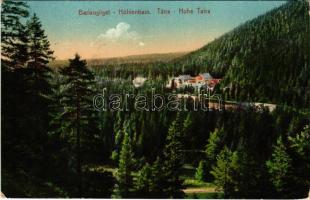 1917 Barlangliget, Höhlenhain, Tatranská Kotlina (Magas-Tátra, Vysoké Tatry); (EK)