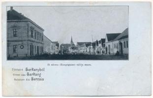 Sárkány, Schirkonyen, Sercaia (Brassó, Brasov); Fő utca, Vendéglő és étterem a zöld koszorúhoz / Hauptgasse, Gast- und Einkehrhaus zum Grünen Kranze / Ulita mare / main street, restaurant (r)