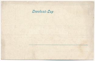 Sárkány, Schirkonyen, Sercaia (Brassó, Brasov); Fő utca, Vendéglő és étterem a zöld koszorúhoz / Hau...