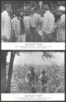 cca 1980 ,,Az élet szép" című szovjet - olasz film jelenetei és szereplői, 9 db produkciós film...