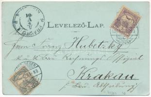 1901 Szászrégen, Sächsisch-Regen, Reghin; Villa Horváth és Villa Matskási kastély este. Rudolf Burgh...