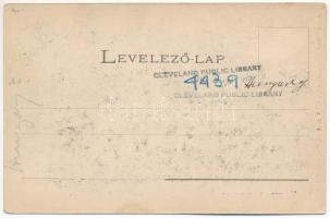 Tataros, Brusturi (Bihar); Bányatelep lepároló és víztelenítő. Benedek Mór fényképészeti műterméből ...