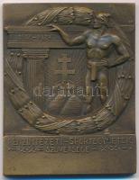 1932. "Pénzintézeti Sportegyesületek Szövetsége 1912-1927 / Tenniscsapatbajnokság III. 1932." bronz díjplakett "LUDVIG E. BUDAPEST" (55x43mm) T:AU patina