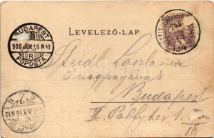 1900 Segesvár, Schässburg, Sighisoara; Roth G. Hermann fényképész + "SZÉKELY-UDVARHELY-SEGESVÁR...